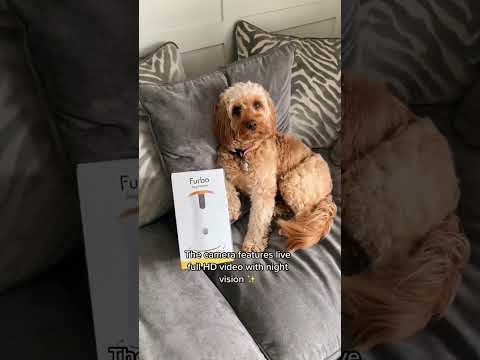 360° View HD Pet Camera with Treat Tossing and Barking Alerts – Perfect for Dog Monitoring by Furbo