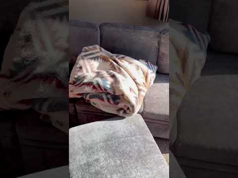 Everything to know about this gorgeous sectional couch