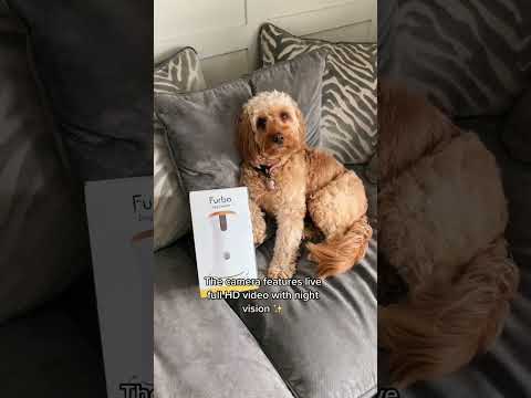 360° View HD Pet Camera with Treat Tossing and Barking Alerts – Perfect for Dog Monitoring by Furbo