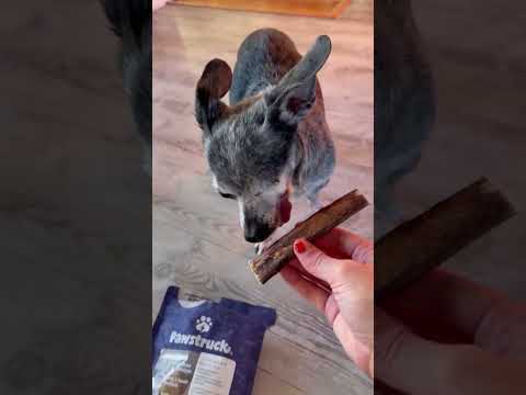 My dogs real time first time review of these treats