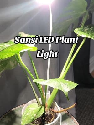 This is a must have for every plant parent like me, especially if you live in an area that weather is very unpredictable