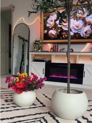 OK, these are the coolest little planters ever. I love that. I got both sizes of them, but they lightweight and they look awesome! #planterpot #tiktokshopfinds #planters #treeplanter #modernplanters #bohoplanter #dealsforyoudays #tiktokshopcreatorpicks